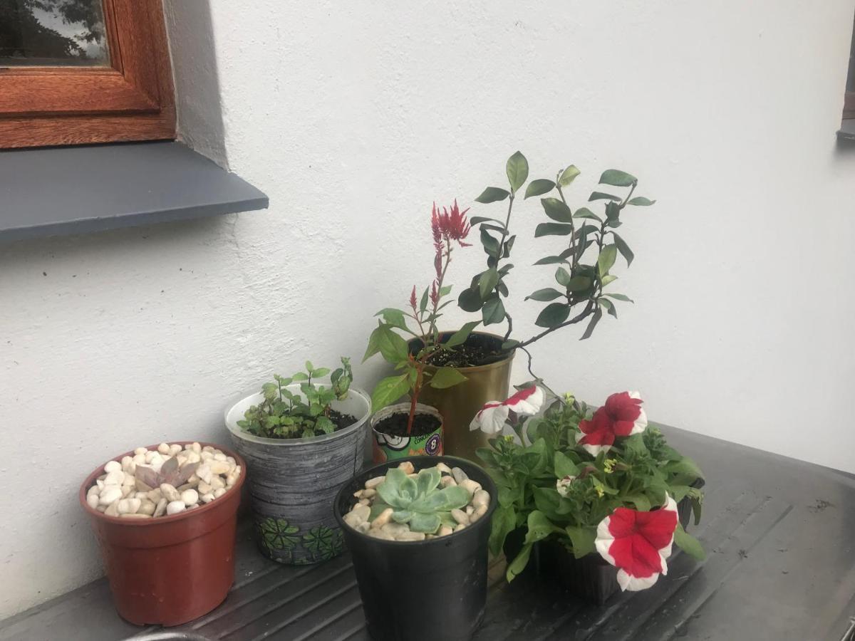 Bokamoso Views Panzió Rustenburg Kültér fotó